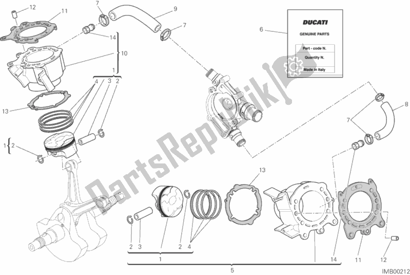 All parts for the Cylinders - Pistons of the Ducati Monster 821 Brasil 2016